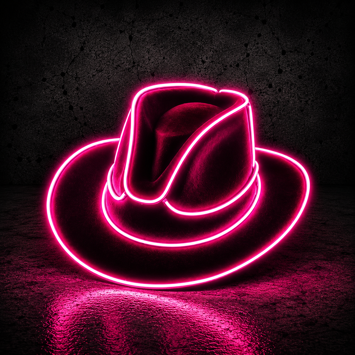 LED Cowgirl Hat