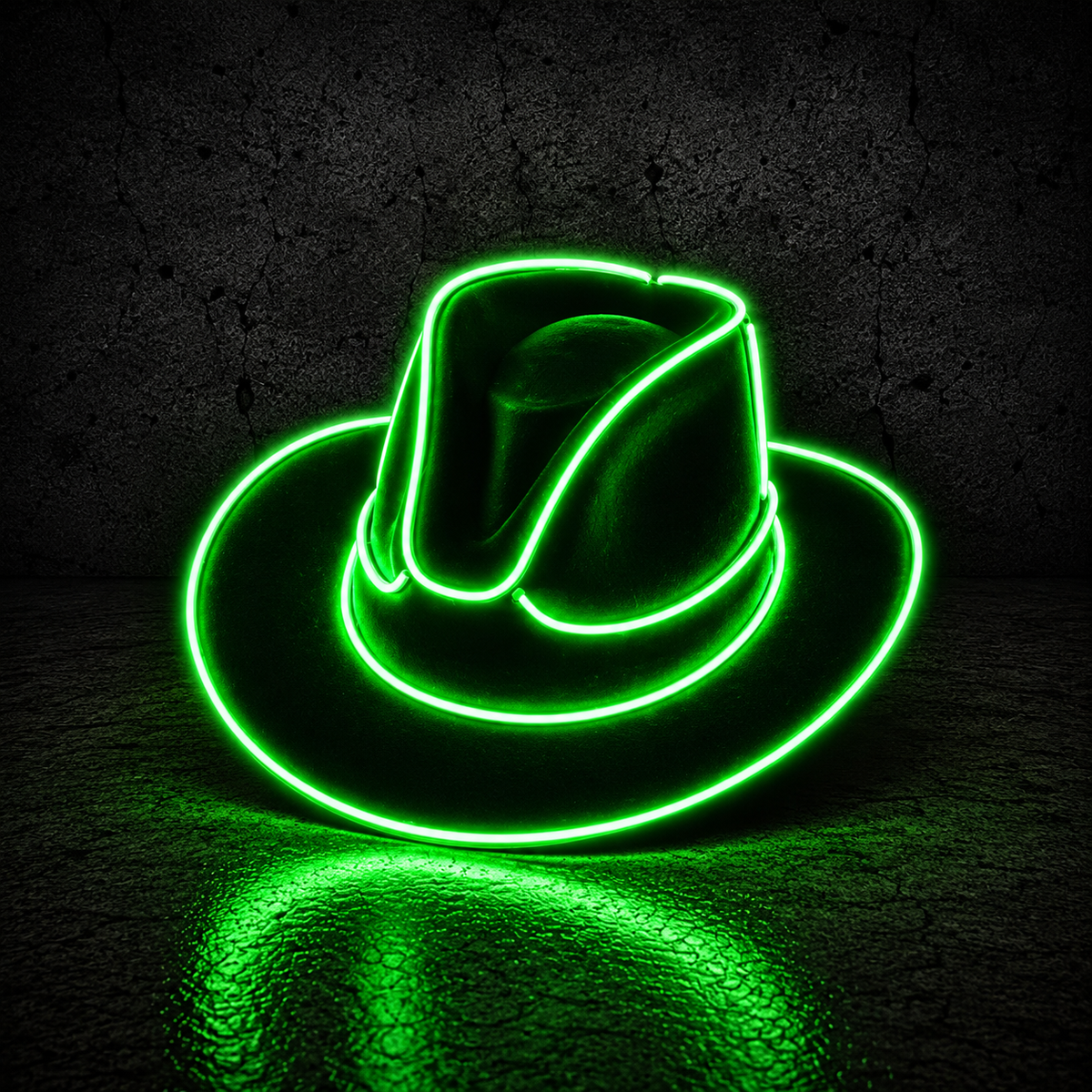 LED Cowgirl Hat