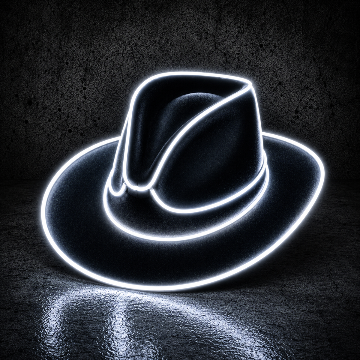 LED Cowgirl Hat
