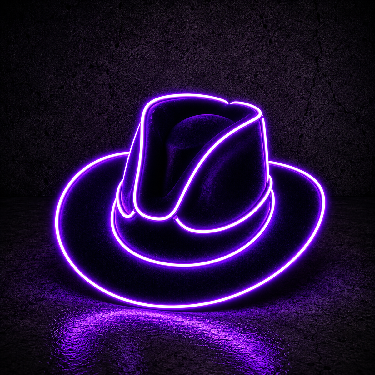 LED Cowgirl Hat