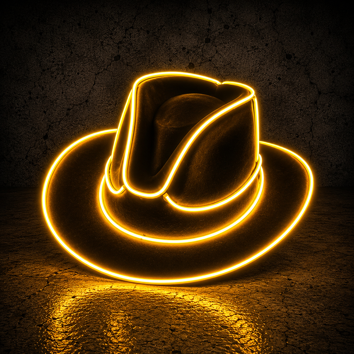 LED Cowgirl Hat
