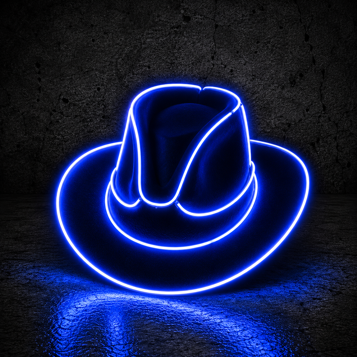 LED Cowgirl Hat